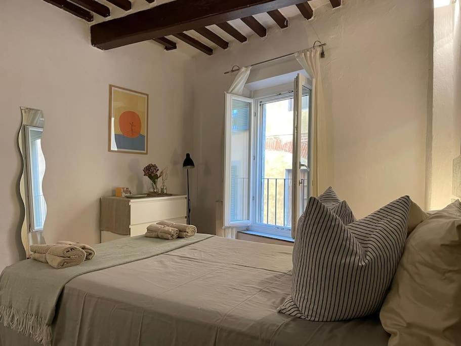 Casa Storica Nel Cuore Di Pisa - Lungarno Luaran gambar
