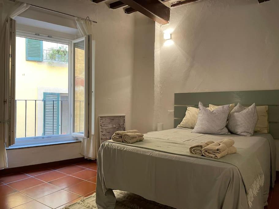 Casa Storica Nel Cuore Di Pisa - Lungarno Luaran gambar